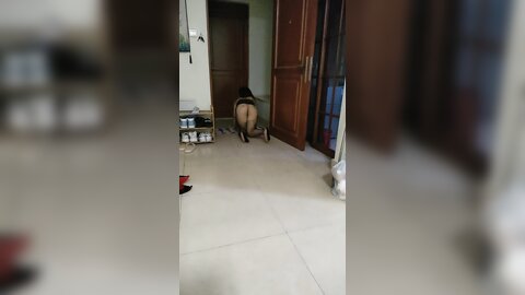 救赎母狗，把尿当啤酒喝的绝世淫女，全程露脸丝袜情趣诱惑装高跟骚货让小哥调教，撅着屁股求干大鸡巴满足她