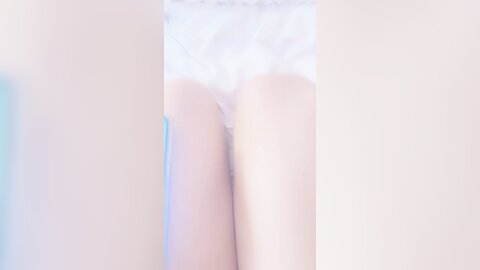 臭宝呐 20240710 142424