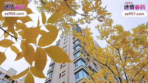 爱豆传媒IDG5458催眠大师迷奸极品黑丝少妇