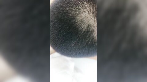 ❤️❤️5女两男多人淫乱，扒掉裤子一顿操，女女互舔奶子，场面很是淫荡，骑乘位抽插，埋头轮流吃屌