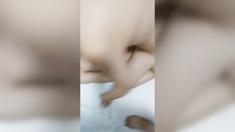 纯情小骚妹露脸被小哥哥们轮草，全程露脸大秀直播，跟狼友互动撩骚听指挥，各种体位无套爆草蹂躏，射肚子上