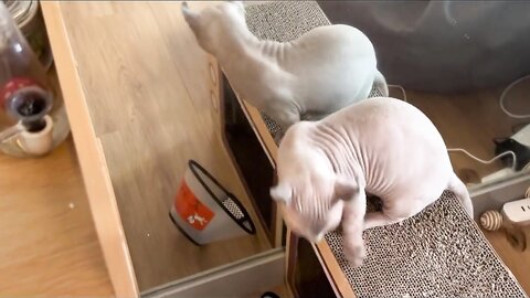 Living Alone Philippines Naked Version Morning Routine Vlog