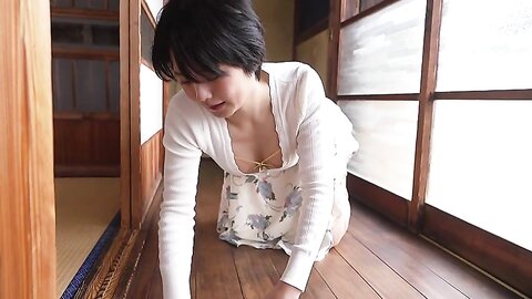 BRD-005 Bg Club Impregnation File No. 5