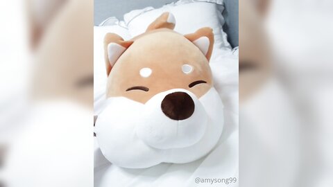 [OF] amysong99 (에이미송) - Collection 01 (11)