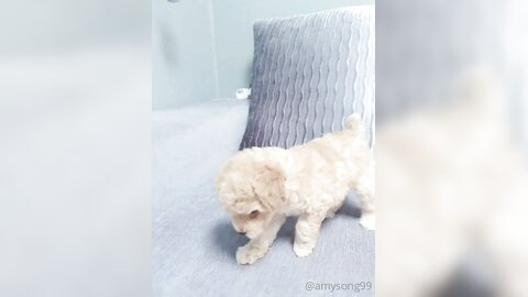 [OF] amysong99 (에이미송) - Collection 01 (20)