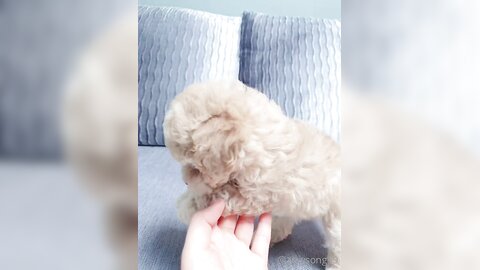 [OF] amysong99 (에이미송) - Collection 01 (18)