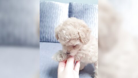 [OF] amysong99 (에이미송) - Collection 01 (18)