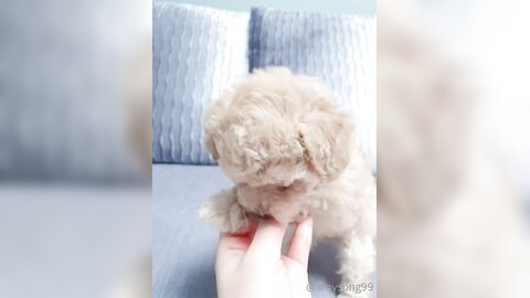 [OF] amysong99 (에이미송) - Collection 01 (18)