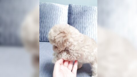 [OF] amysong99 (에이미송) - Collection 01 (18)