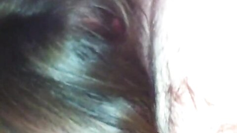 Horny Girlfriend Having Fun Sucking On My Fat Cock