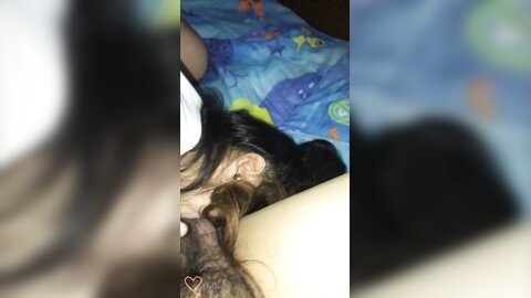 My Stepson Wake Me Up And Fuck Me