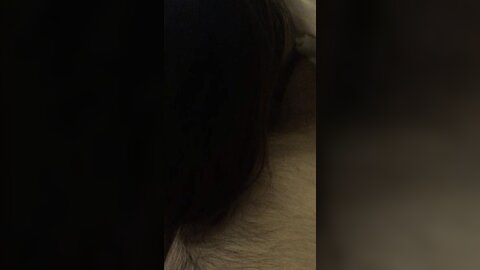 Video 2024 07 12 01 43 04