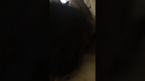 Video 2024 07 12 01 43 04