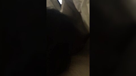 Video 2024 07 12 01 43 04