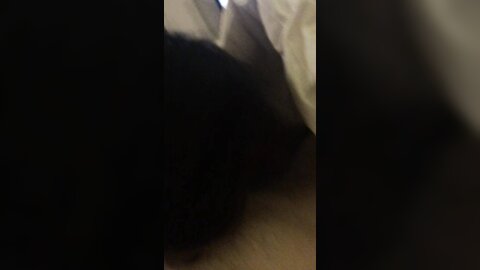 Video 2024 07 12 01 43 04