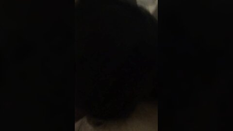 Video 2024 07 12 01 43 04