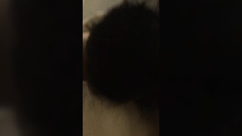 Video 2024 07 12 01 43 04