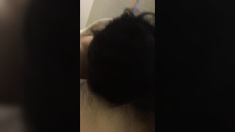 Video 2024 07 12 01 43 04