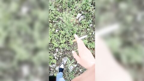 战女狼 20240811 154846 452