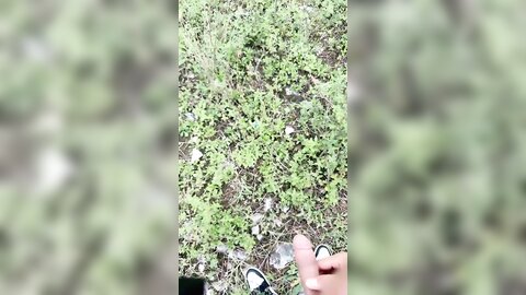 战女狼 20240811 154846 452