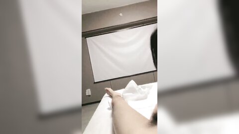 美美与共 20240814 224417
