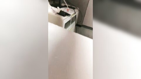 美美与共 20240814 224417