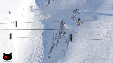 Lonelymeow  2020 06 27 472991020 Trip To Siberia Video