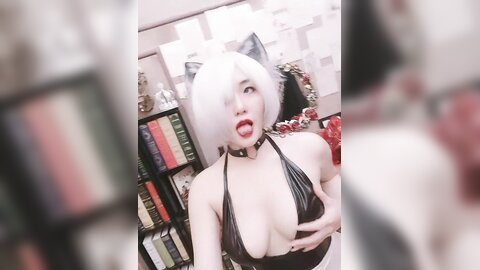 Sunnyvier - 2B Neko (3)