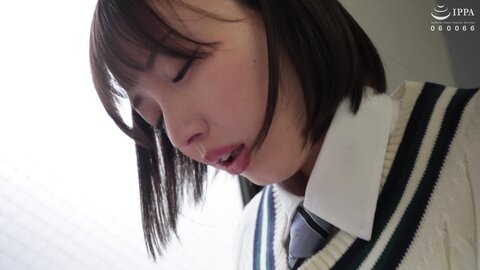 SQTE-557 [4K] Please Let Me Have Sex With A Rumored Free Health Committee Member. And Get Down On My Knees Orz...