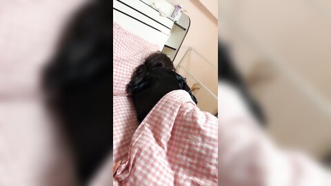 ❤️❤️呆萌眼镜良家美少女，大姨妈闯红灯，男友操无毛小骚逼，特写埋头吃屌，怼入嫩穴一顿输出，道具爆菊花