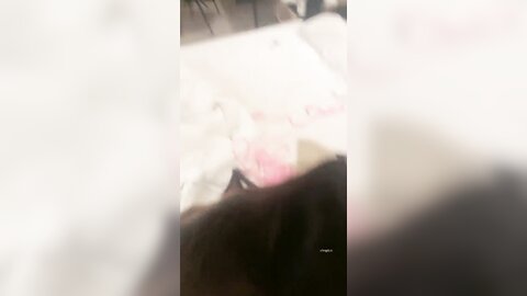 遇上柠檬 20240826 004623