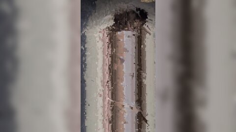 Vanessa Taylor Video 001