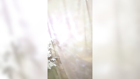 08 27 02 36 40 982