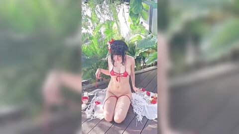 video (16)