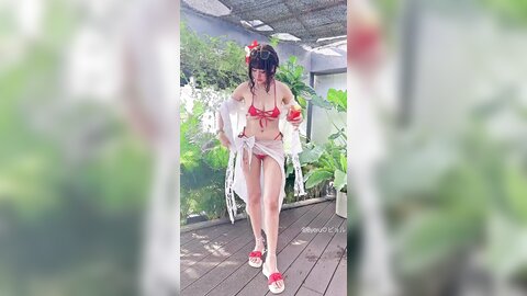 video (26)