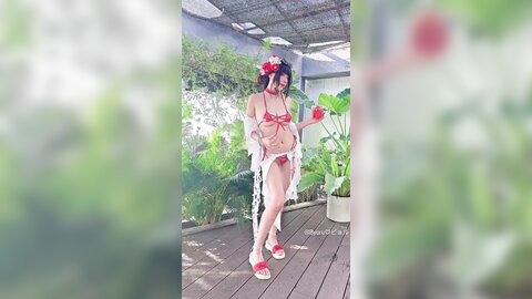 video (23)