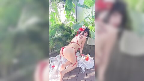 video (14)