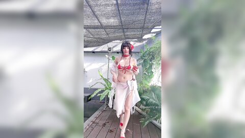 video (27)