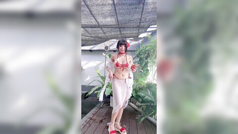 video (27)