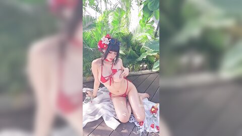 video (12)