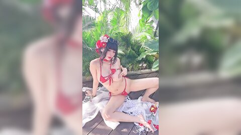 video (12)