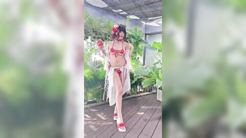 video (24)
