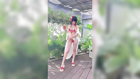 video (24)