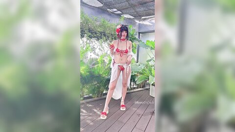 video (24)