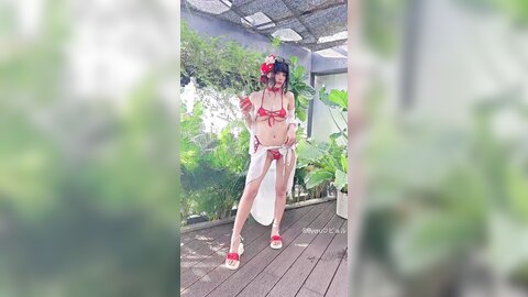 video (24)