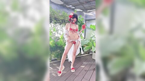 video (24)