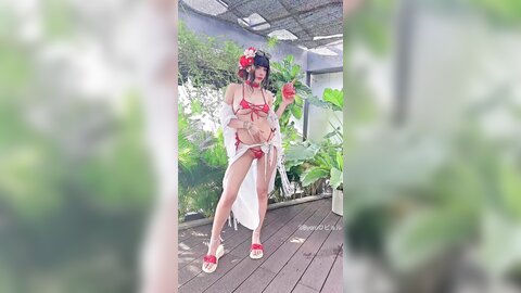 video (24)