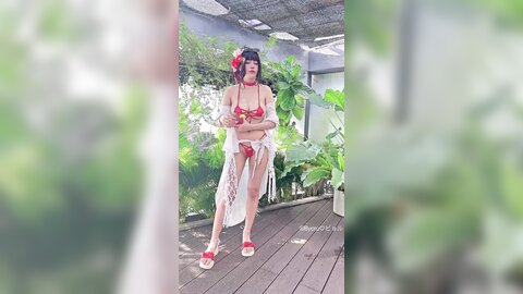 video (24)