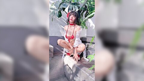 video (5)