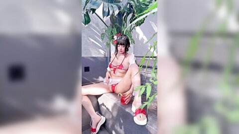 video (6)
